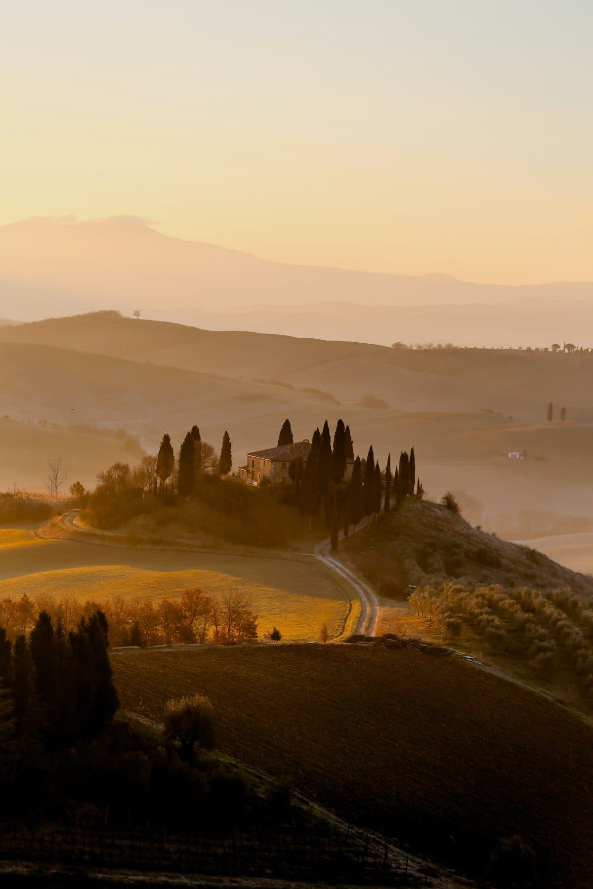 Mist over the Tuscan hills at sunrise, with cypress trees and a farmhouse on the ridge