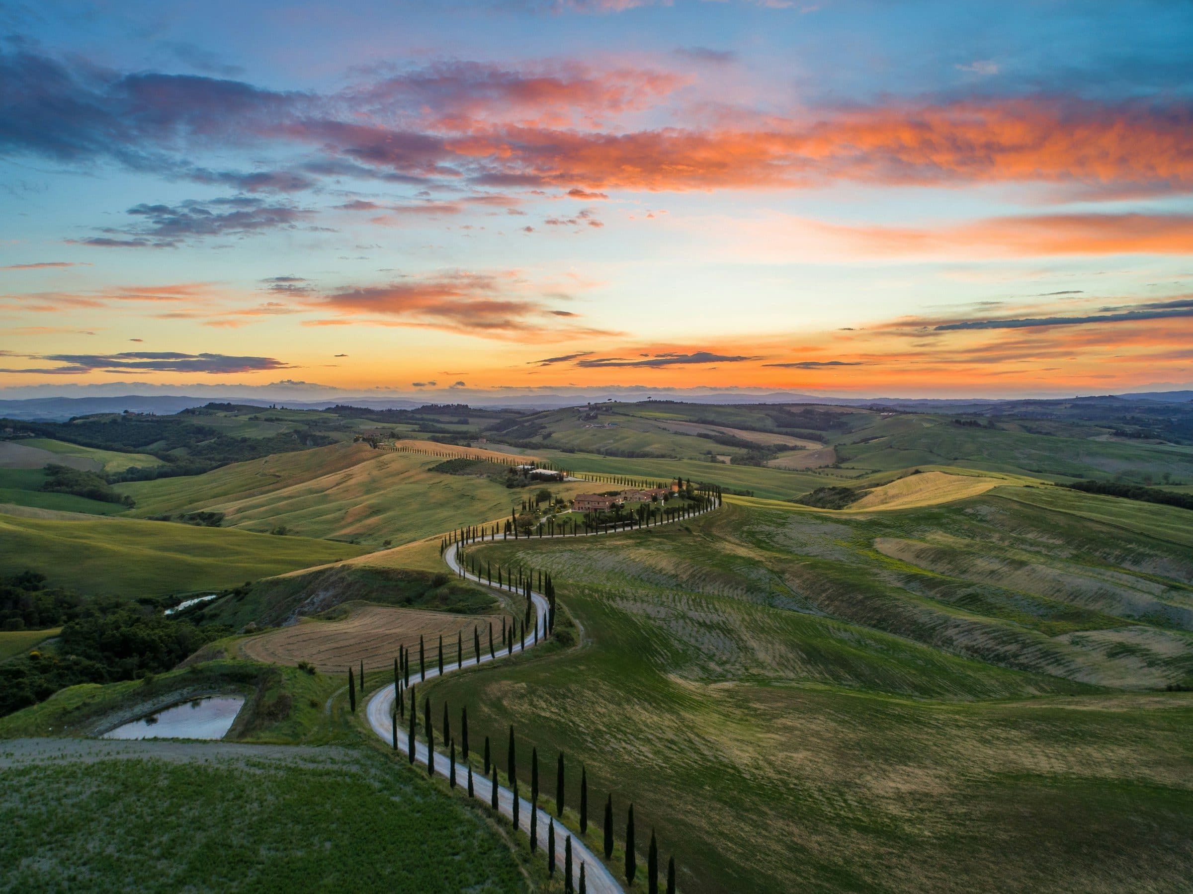 A winding road lined with cypress trees through the rolling hills of Tuscany at sunset